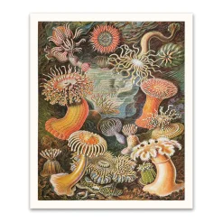 Ohh Deer Prints*Anenomes Riso Print (12x10)
