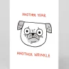 Gemma Correll Birthday|Birthday Cards*Another Year Another Wrinkle Brithday Card | Ohh Deer