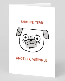 Gemma Correll Birthday|Birthday Cards*Another Year Another Wrinkle Brithday Card | Ohh Deer