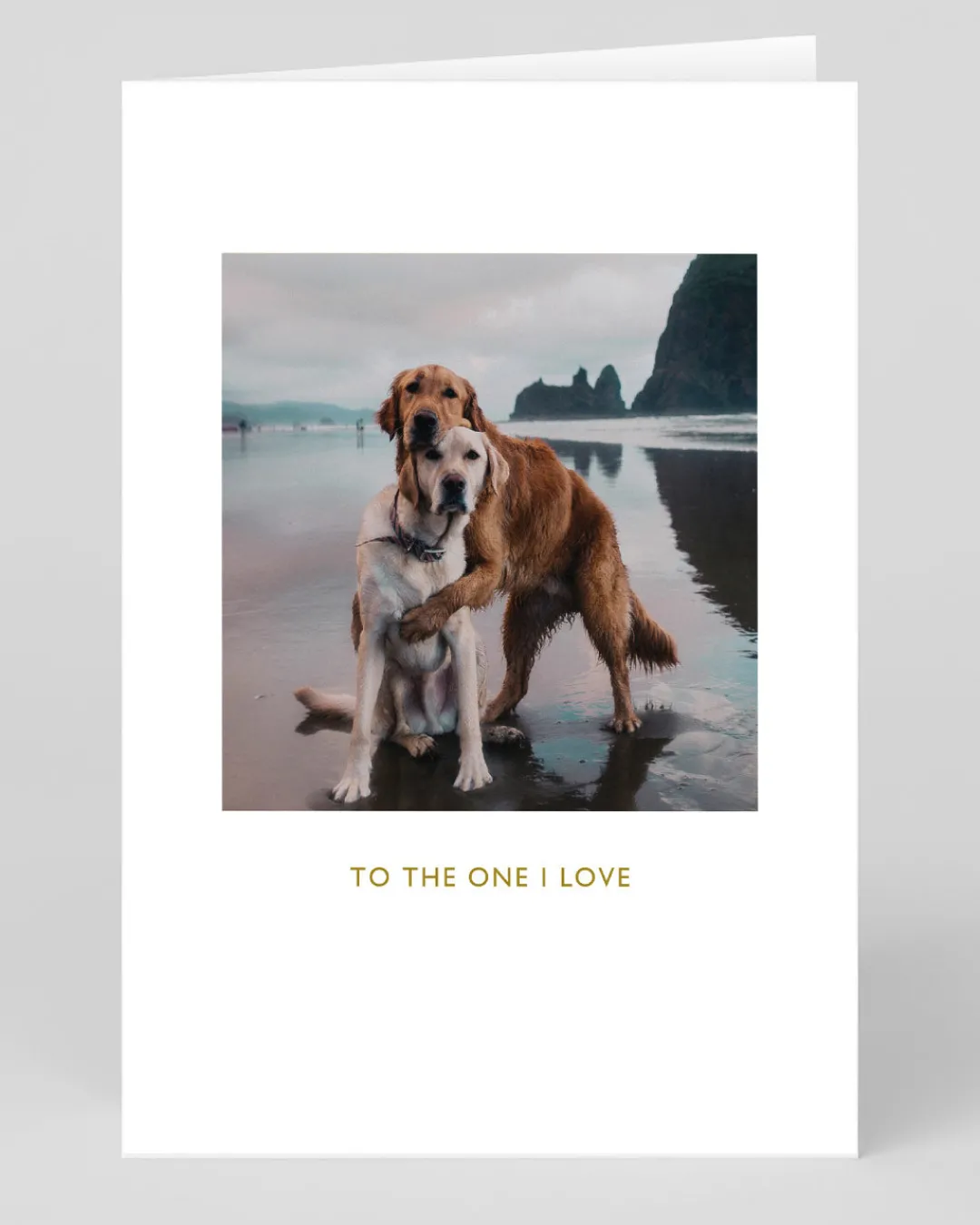 Hana Kim Valentine's Day|Anniversary*Beach Dogs Hug Greeting Card | Ohh Deer
