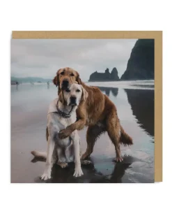 Say Cheese Thinking Of You*Beach Dogs Hug Greeting Card
