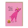 Badger u0026 Burke Birthday Cards*Birthday Poop Greeting Card