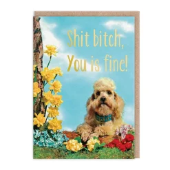 Smitten Kitten Anniversary|Valentine's Day Cards*Bitch You Is Fine Greeting Card | Ohh Deer