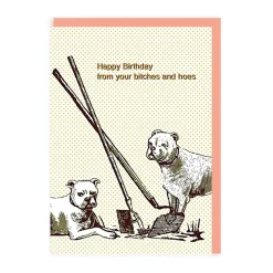 Smitten Kitten Birthday Cards*Bitches and Hoes Birthday Card