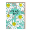 Banquet Get Well Soon*Brighten Recovery! Get Well Soon Daisies Greeting Cards | Ohh Deer