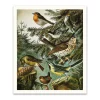 Ohh Deer Prints*British Birds Riso Print (12x10)