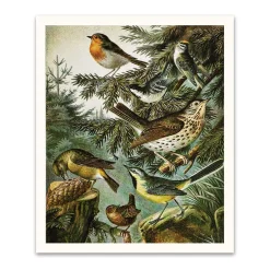 Ohh Deer Prints*British Birds Riso Print (12x10)