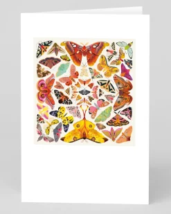 Natasha Durley Thank You|Birthday*Butterfly Kaleidoscope Greeting Card | Ohh Deer