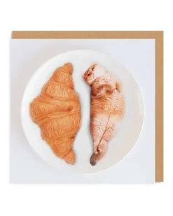 Say Cheese Birthday Cards*Cat Croissants Greeting Card