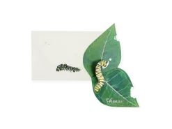 UWP Luxe Pop Up & 3d Cards*Caterpillar 3D Pop Up Greeting Card | Ohh Deer