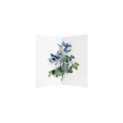 UWP Luxe Pop Up & 3d Cards*Columbine 3D Pop Up Greeting Card | Ohh Deer