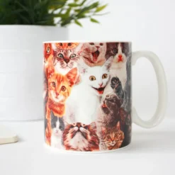 Gift Republic For Her|Under £20*Crazy Cat Lady Mug - Cat Lover Gift | Ohh Deer