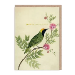 Diane Hill Birthday Cards*- Songbird Birthday Card 🕊️ | Ohh Deer