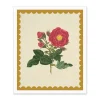 Kaleido Prints*Drift Rose Riso Print (12x10)