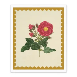 Kaleido Prints*Drift Rose Riso Print (12x10)