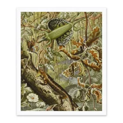Ohh Deer Prints*Flying Dragons Riso Print (12x10)