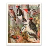 Ohh Deer Prints*Forest Birds Riso Print (12x10)