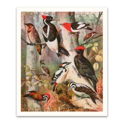 Ohh Deer Prints*Forest Birds Riso Print (12x10)