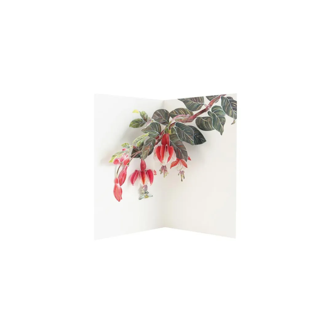 UWP Luxe Pop Up & 3d Cards|Birthday Cards*Fuchsia 3D Pop Up Greeting Card | Ohh Deer