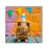 Say Cheese Birthday Cards*Guinea Pig Birthday Card