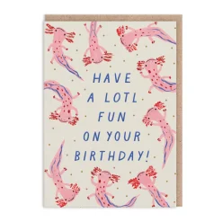 Emily Doliner Birthday Cards*Have A Lotl Fun Birthday Card
