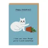 Ken The Cat Valentine's Day Cards*I Love You Even Though You're A Prick Sometimes Valentine's Card | Ohh Deer