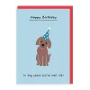 Ken The Cat Birthday Cards*In Dog Years Birthday Card | Ohh Deer