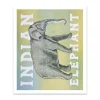 Ohh Deer Prints*Indian Elephant Riso Print (12x10)