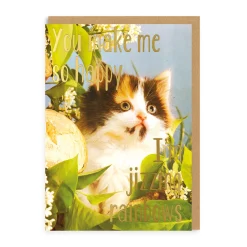 Ohh Deer Anniversary|Valentine's Day Cards*Jizzing Rainbows Greeting Card |