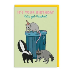 Party Mountain Paper Co. Birthday Cards*Let's Get Trashed Critters Birthday Card 🦝 | Ohh Deer