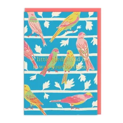 Emily Taylor Birthday Cards*Little Birdie Happy Birthday Card - | Ohh Deer