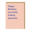 Twin Pines Birthday Cards*Lovely Looking Specimen Birthday Card - | Ohh Deer