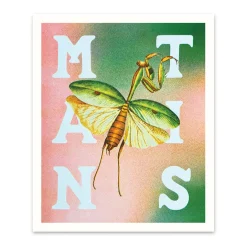 Ohh Deer Prints*Mantis Riso Print (12x10)