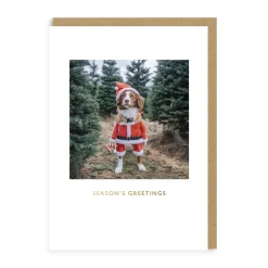 Say Cheese Christmas Cards*Maple Santa Christmas Card