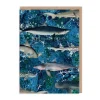 Kaleido Birthday Cards*Marble Sharks Birthday Card
