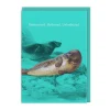 Natural History Museum Birthday Cards*Moisturised Greeting Card