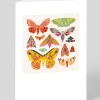 Natasha Durley Birthday|Thank You*Moths and Butterflies Greeting Card | Ohh Deer