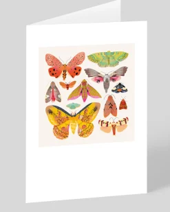 Natasha Durley Birthday|Thank You*Moths and Butterflies Greeting Card | Ohh Deer