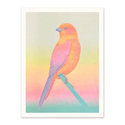 Ohh Deer Prints*Neon Ombre Bird Riso Print (8x6)