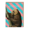 Natural History Museum Birthday Cards*Night Before Greeting Card