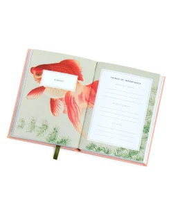 Ohh Deer 2025 Diaries|Stationery Gifts*Green 2025 Diary - Sleek A5 Diary with Monthly Calendar