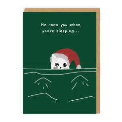 Ken The Cat Christmas Cards*Pack of 9 Christmas Cards -