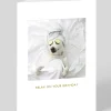 Kimber Hall Birthday|Birthday Cards*Pampered Pooch Birthday Card | Ohh Deer