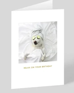 Kimber Hall Birthday|Birthday Cards*Pampered Pooch Birthday Card | Ohh Deer