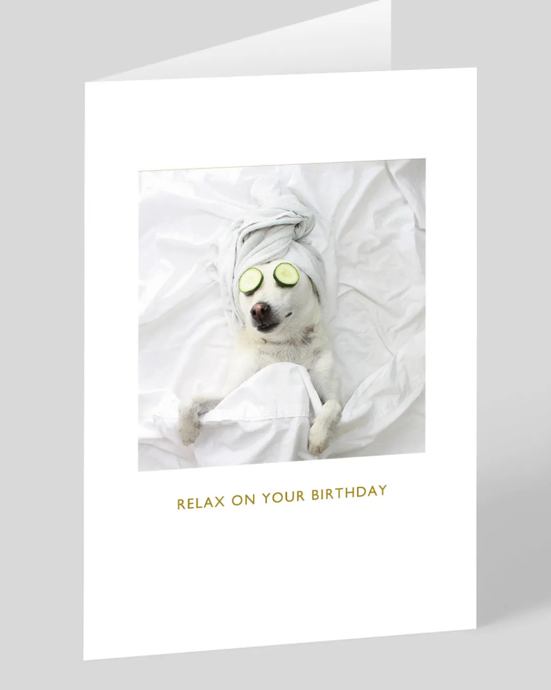 Kimber Hall Birthday|Birthday Cards*Pampered Pooch Birthday Card | Ohh Deer