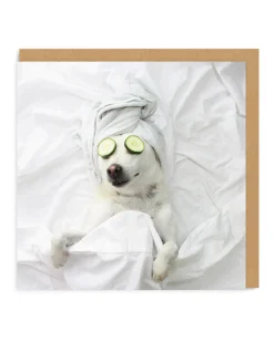 Say Cheese Thinking Of You|Birthday Cards*Pampered Pooch Greeting Card