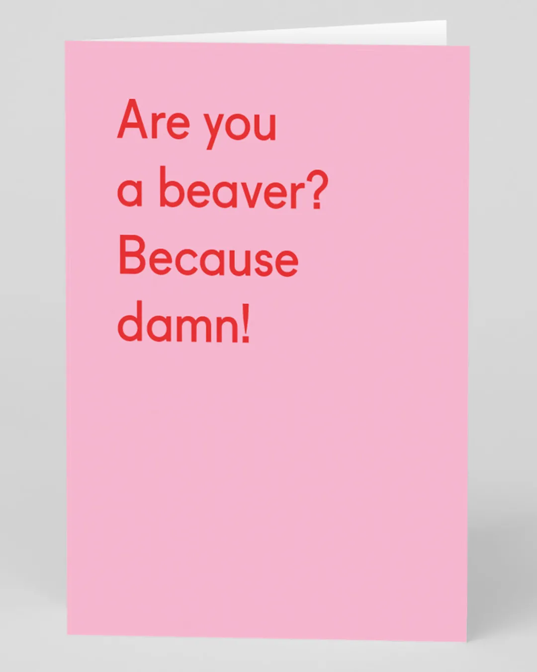 Twin Pines Valentine's Day|Anniversary*Personalised Are You a Beaver Greeting Card | Ohh Deer