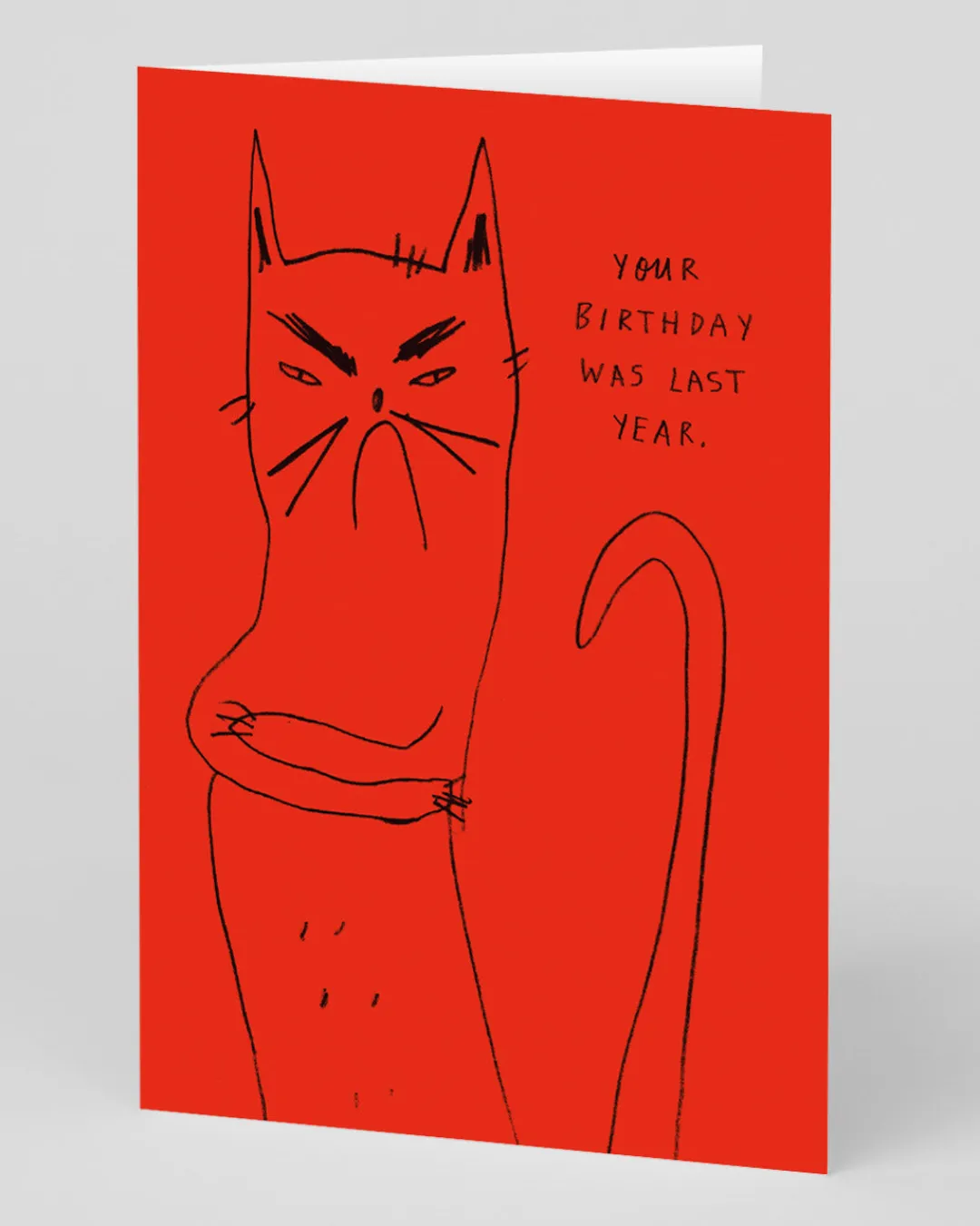 Badger u0026 Burke Birthday|Birthday Cards*Personalised Bitter Kitty Birthday Card | Ohh Deer