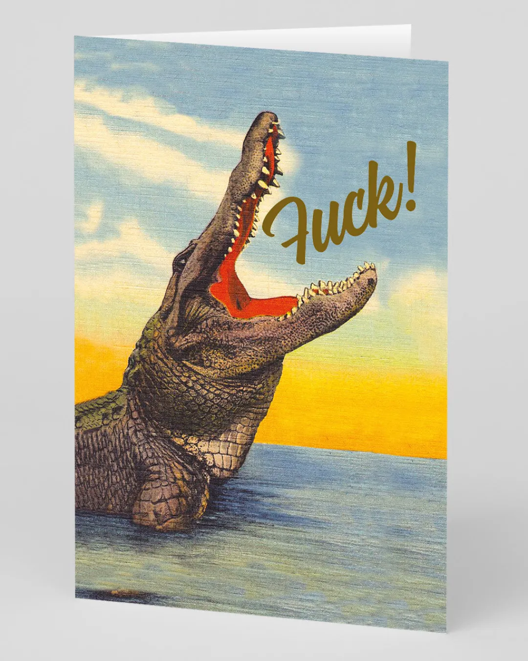 Offensive + Delightful Birthday|Birthday Cards*Personalised Crock! Greeting Card | Ohh Deer