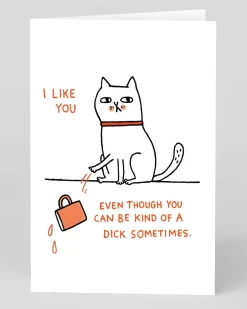 Gemma Correll Valentine's Day|Anniversary*Personalised Dick Sometimes Greeting Card | Ohh Deer